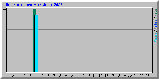 Hourly usage for June 2026